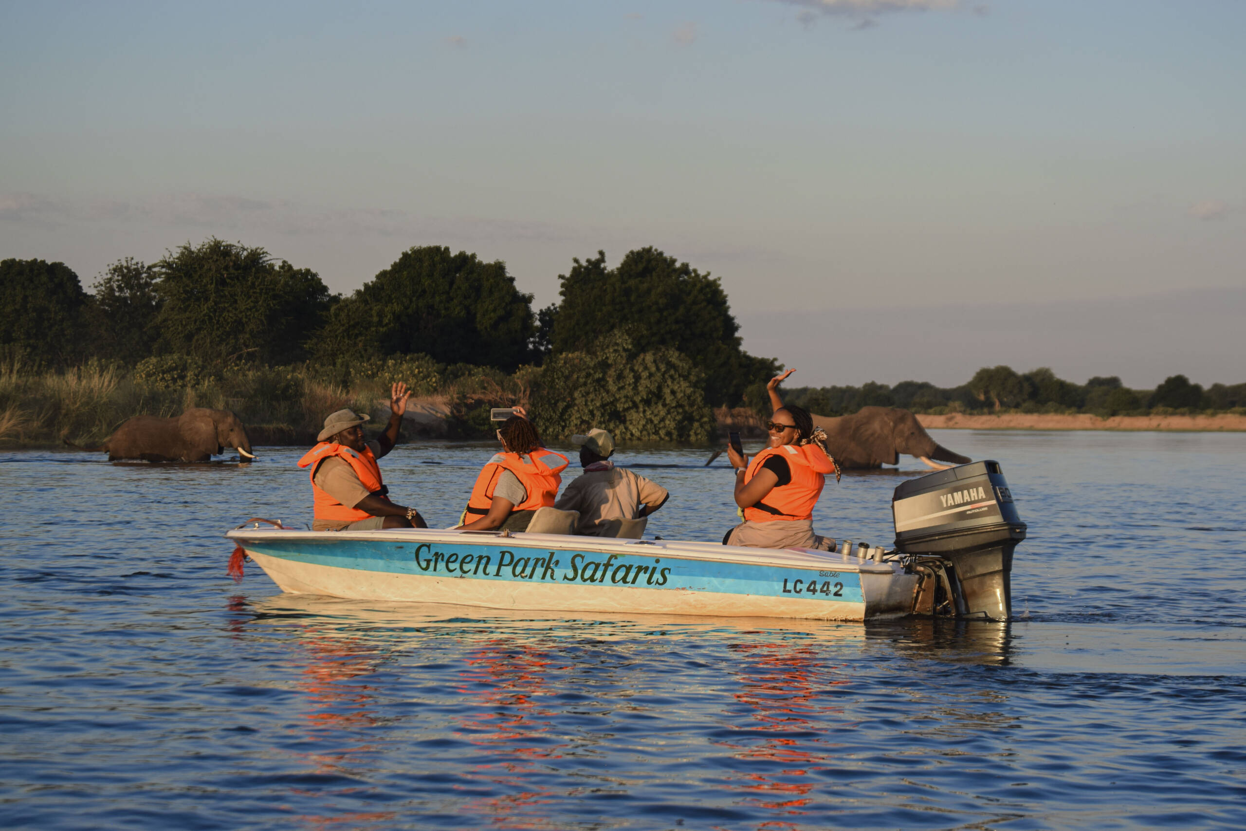 Boat Cruise Safaris 2