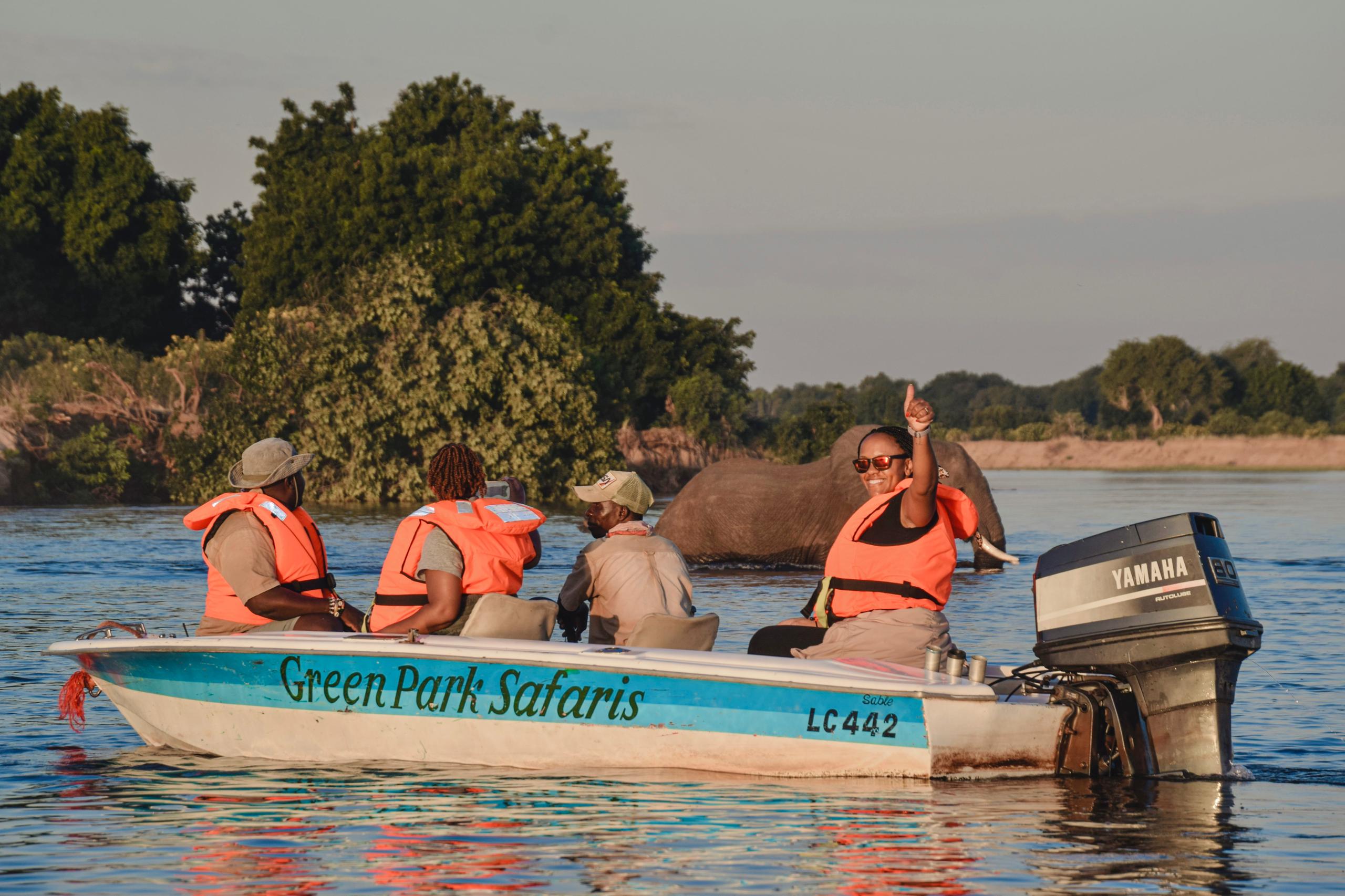 Boat Cruise Safaris